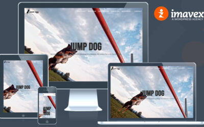 Launching JumpDog.com – Where Canine Agility Meets Expert Design